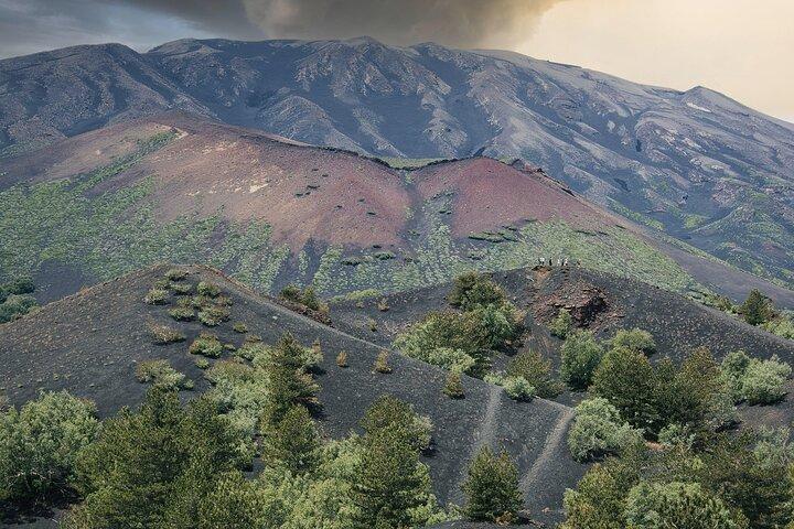 Messina Delad grupptur Mt Etna och Taormina Kids