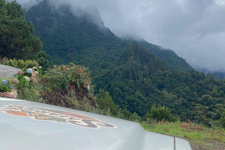 Fanal Forest, Skywalk & Lava Pools : 西マデイラ4x4 Expedition