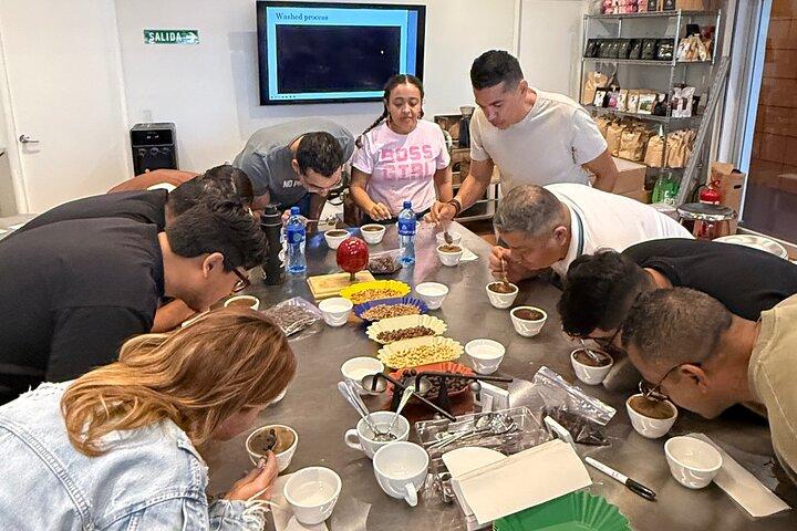 Geisha kaffe smagning Panama flydende guld oplevelse