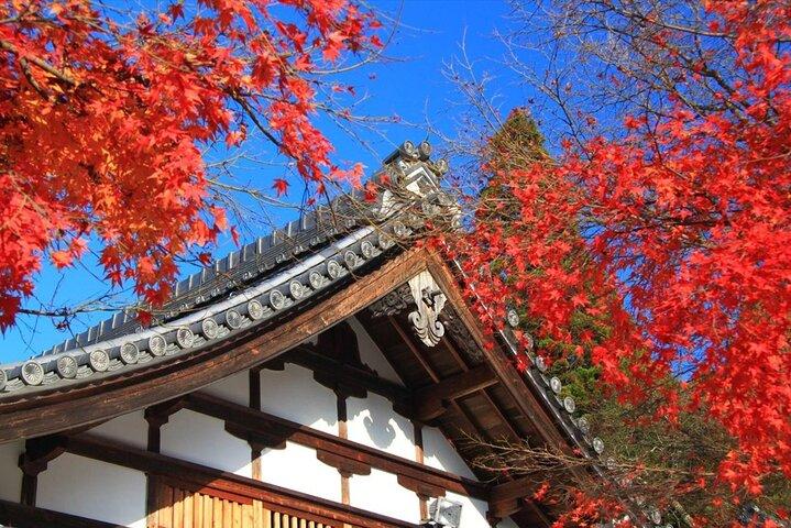 大阪・京都ツアー勝尾寺、愛宕念仏寺、嵐山
