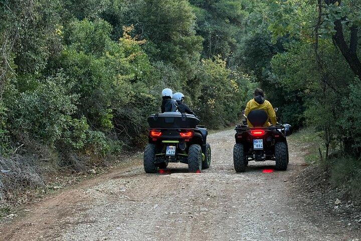 Tour avventura in ATV di Atene nella montagna di Parnitha con 650cc Quad