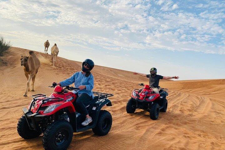 Avventura nel deserto: Safari in quad e cammello da Sharm El-Sheikh