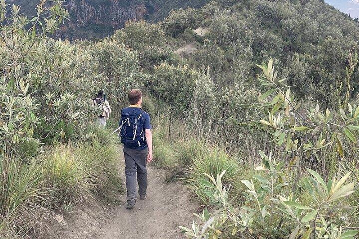 Tagesausflug : Longonot-Wanderung und optionale Bootsfahrt auf dem Naivasha-See