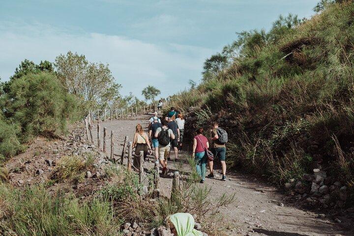 Excursion d'une journée à Pompéi et au Vésuve au départ de Rome Billets inclus