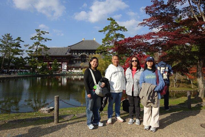 Excursion d'une journée à Nara au départ d'Osaka avec un guide agréé