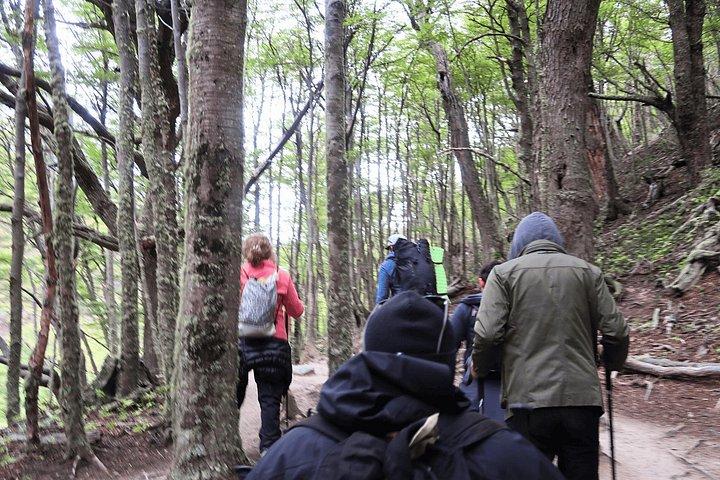 Puerto Natales: Base Torres Small Group Trekking