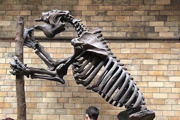 ロンドン:エキスパートガイド付きプライベート自然史博物館ツアー