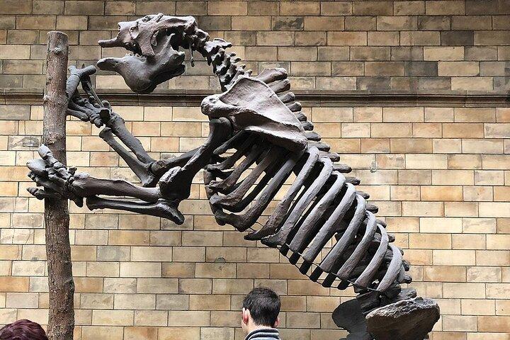 London Walking Tour Natural History Museum