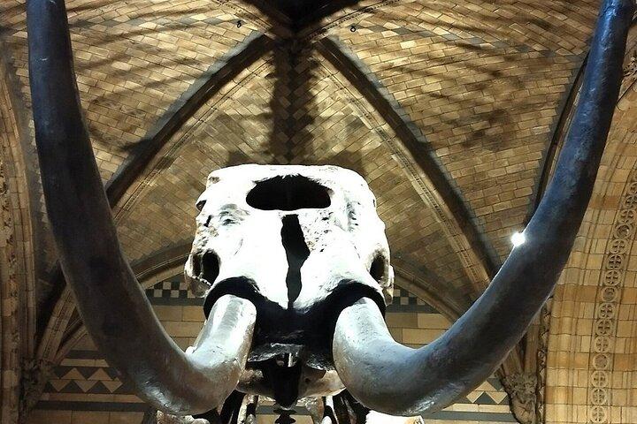 London Walking Tour Natural History Museum