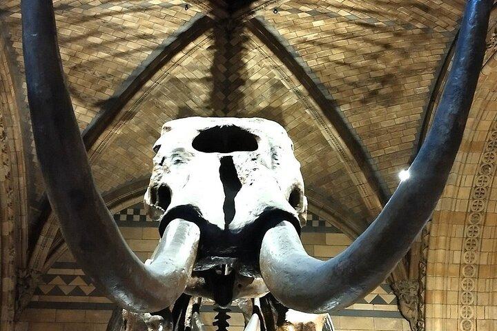 Londons Natural History Museum