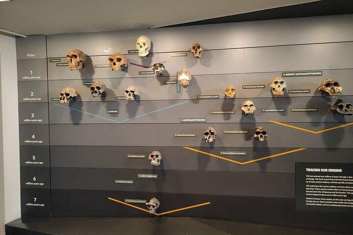 Londons Natural History Museum