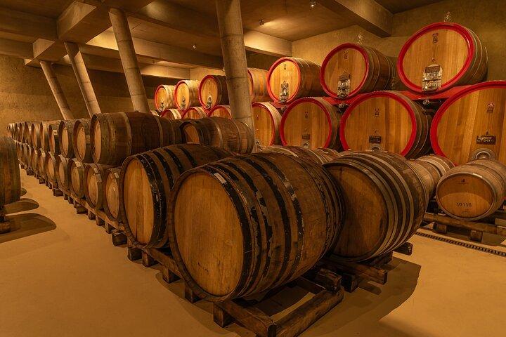 Casablanca Valley Wine Tour med smagninger fra Santiago