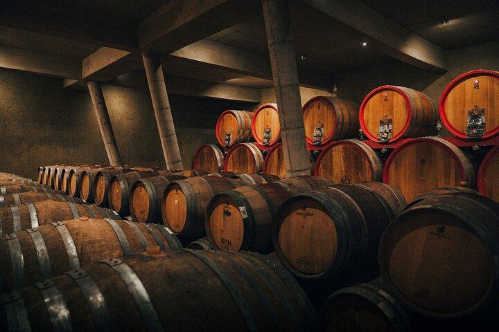 Casablanca Valley Wine Tour med smagninger fra Santiago