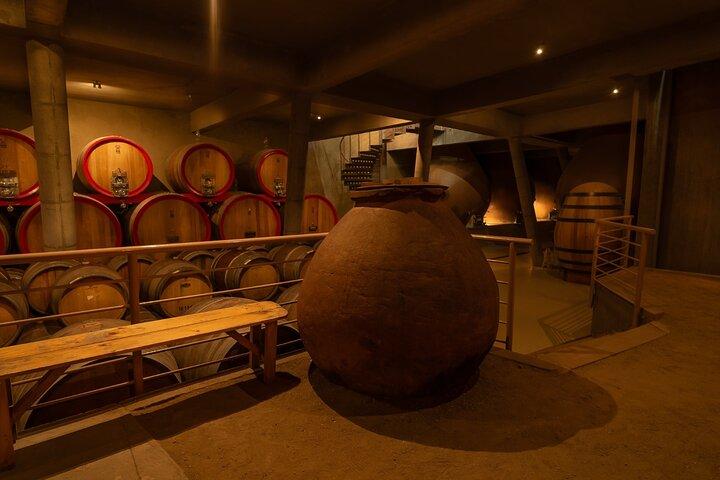 Casablanca Valley Wine Tour med smagninger fra Santiago