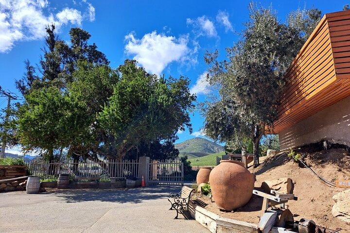 Casablanca Valley Wine Tour med smagninger fra Santiago