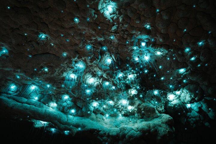 Visite de la grotte Milkyway Glowworm au départ du port d'Auckland
