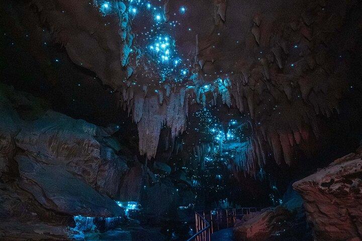 オークランド港からのミルキーウェイグローワーム洞窟ツアー