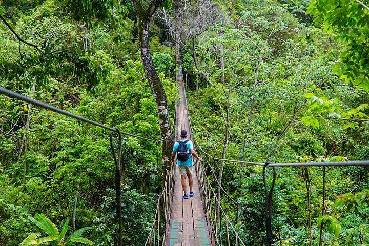 Roatan City Tours