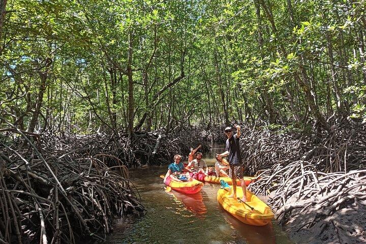 Koh Yao Yai Mangrove Wald Kayaking und lokales Dorf mit Mittagessen