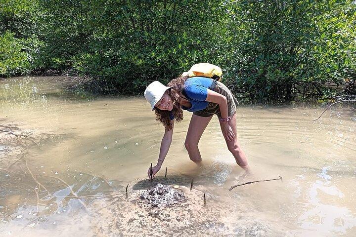 Koh Yao Yai Mangrove Wald Kayaking und lokales Dorf mit Mittagessen