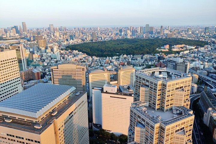 東京 : 新宿＆渋谷ウォーキングツアー～街の見どころ