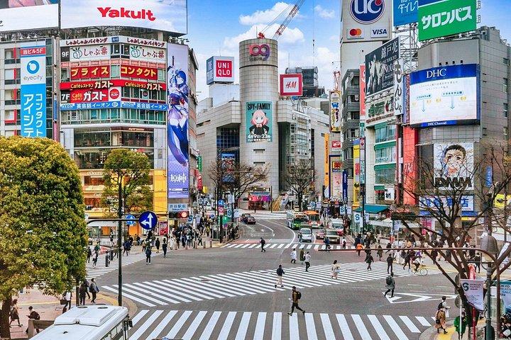 東京 : 新宿＆渋谷ウォーキングツアー～街の見どころ