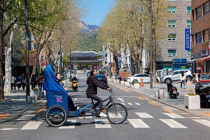 Seoul Bukchon Heritage Tour with Pedicab and Workshop