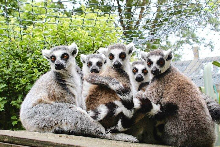 Willowbank Wildlife Reserve Day Entry