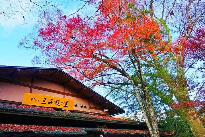 三千院と京都嵐山探検日帰りツアー