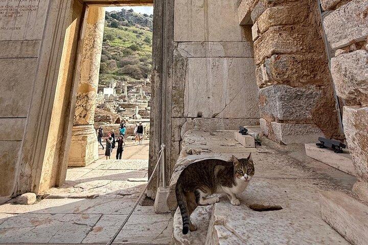 Ephesus Virgin Mary Day Trip from Istanbul with Flights