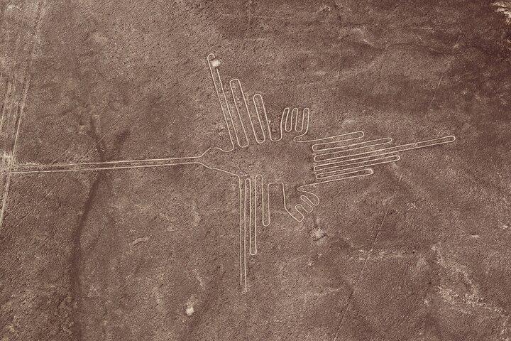 Dagstur fra Lima til Nazca-linjerne med fly