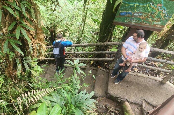 Hacienda Café Doka, Volcán Poas & Jardines de La Catarata La Paz