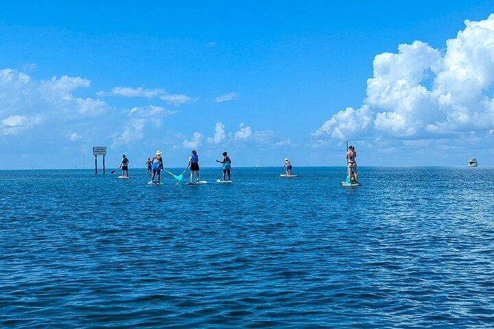 Miami Biscayne Bay Paddle