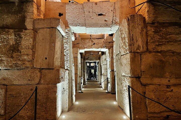 Visite souterraine du Colisée avec accès au forum romain et au mont Palatin