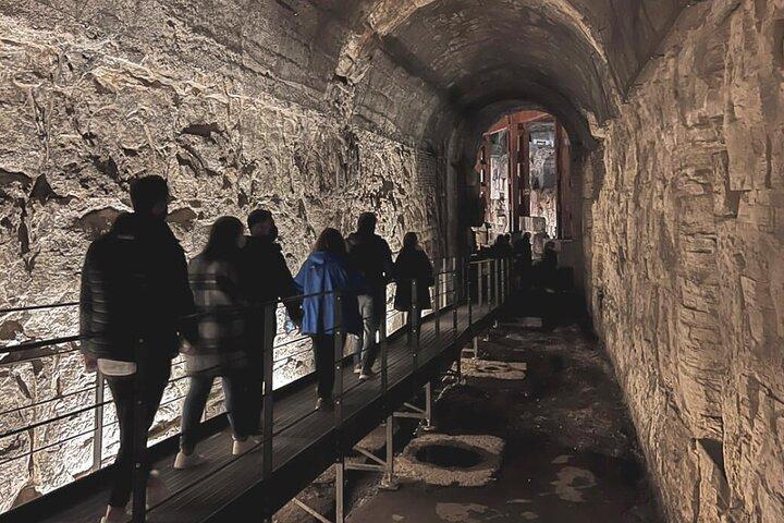 Excursão subterrânea do Coliseu com acesso ao Fórum Romano e Monte Palatino