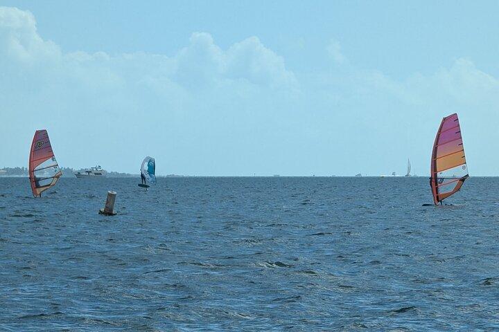 Hobie Beach Miamiのウィンドサーフィンアドベンチャー