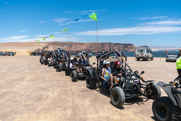 Mini Buggy 2 Horas de Aventura por la Reserva Nacional Paracas