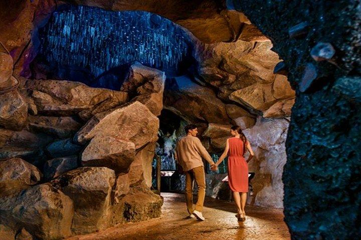 Singapore: Night Safari Entry Ticket