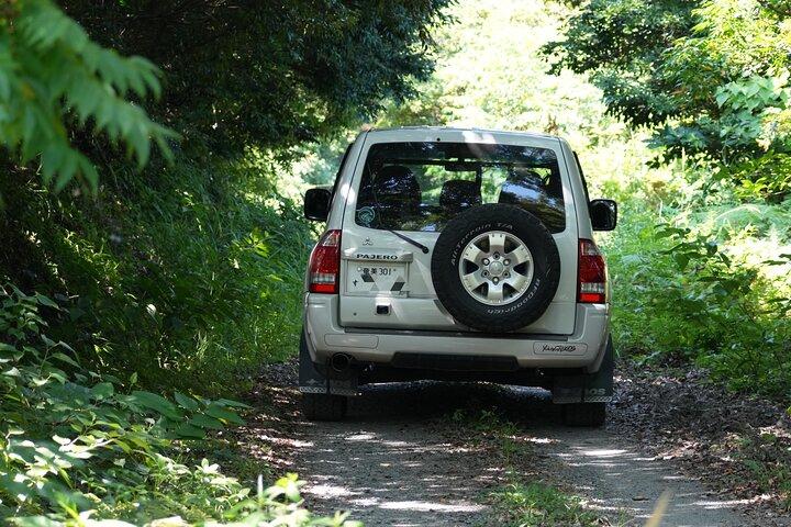 Private Amami Nature and Culture Experience