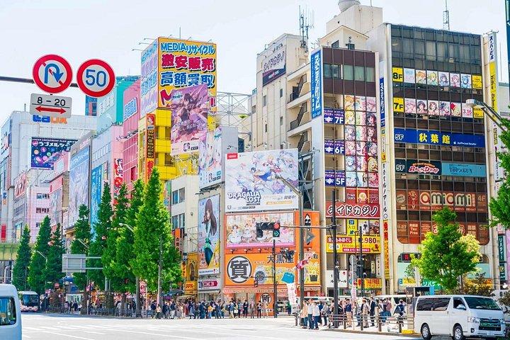 東京10時間皇居＆スカイツリー＆秋葉原プライベートツアー
