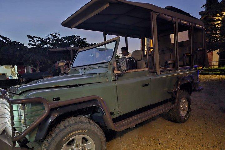 Safari 3 dage Fra Zanzibar Til Mikumi National Park med færge