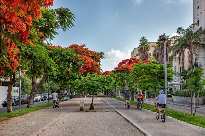Tel Aviv Carmel marknad och stadsvandringstur