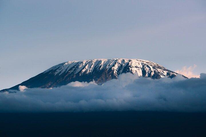5 Tage Amboseli, Tsavo Diani