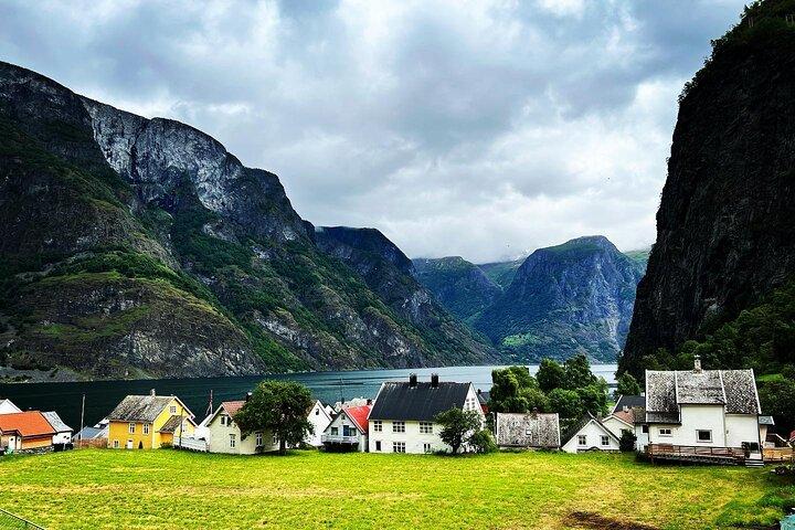 Bergen: Excursão em grupo pequeno com Flåm Cruise, Nature Walk, Goat Farm