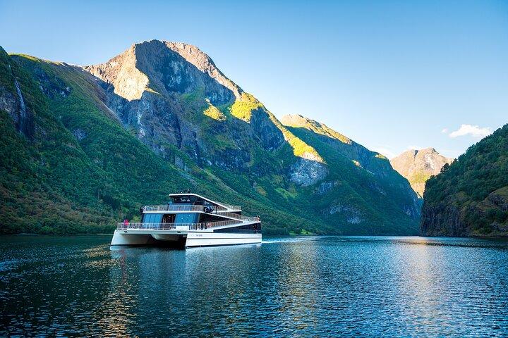 Bergen: Excursão em grupo pequeno com Flåm Cruise, Nature Walk, Goat Farm