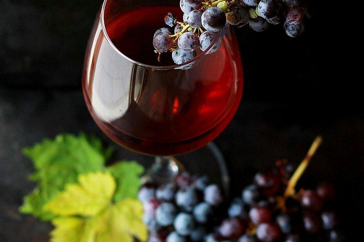Luksus Prag tur med vin og chokolade smagning. 4 timer