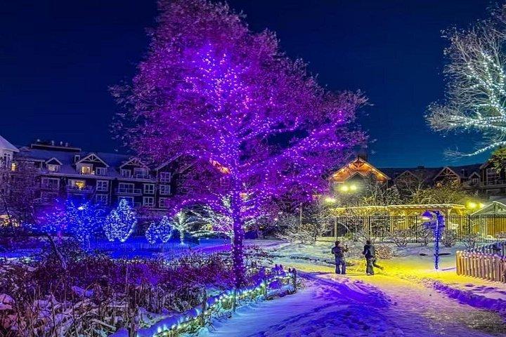 Blue Mountain Daily Winter Shuttle from Toronto (GTA)