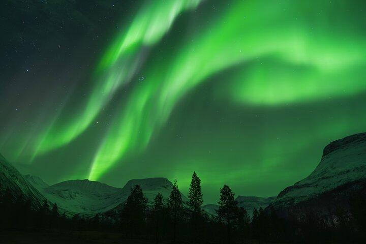 Tromsø : エキスパートガイドと写真で行くオーロラアドベンチャー