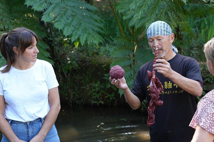 Private Amami Nature and Culture Experience