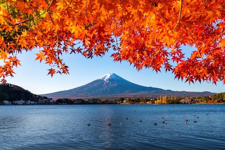 現地英語ガイド付き富士山プライベートカスタムツアー